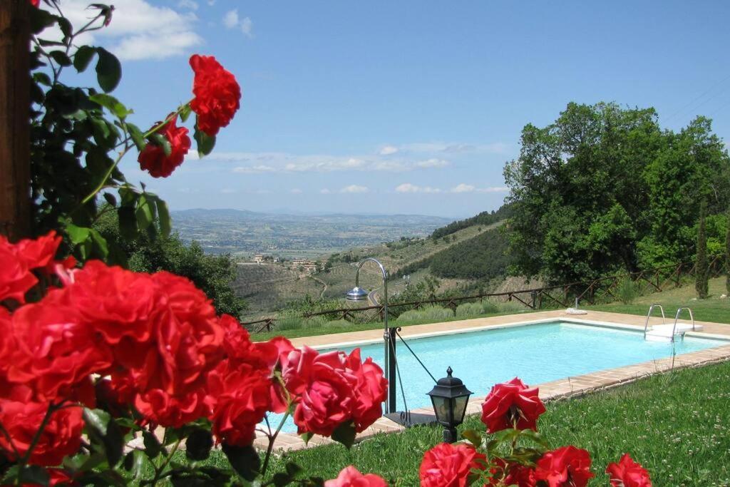 All Stone Horse Stable Converted To Elegant Apartment - Baltimora Spoleto Exterior foto